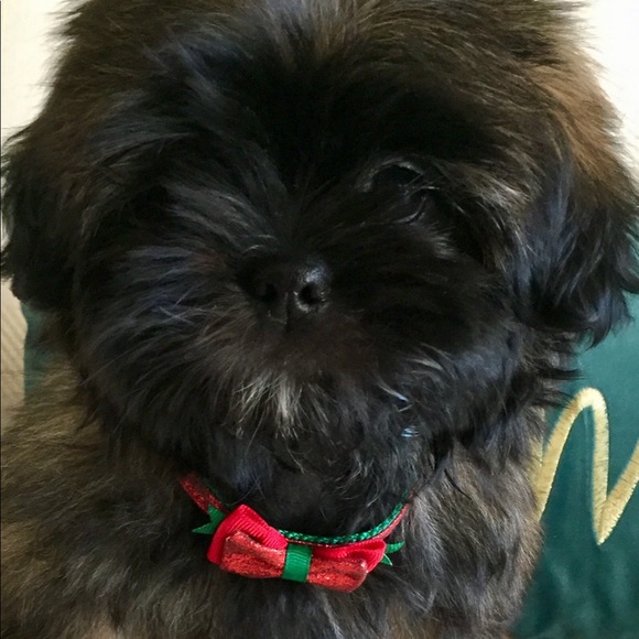 🌸🌸Meet your Posher, Sandra Lee🌸🌸💕. - Picture 15 of 16